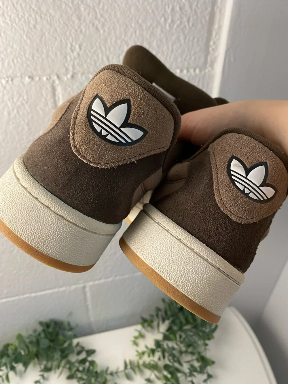 Adidas Campus Brown - Picture 4 of 6
